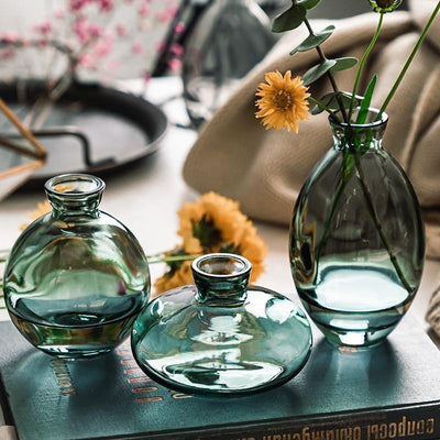Cezanne Glass Vase Trio - Lily & Eden