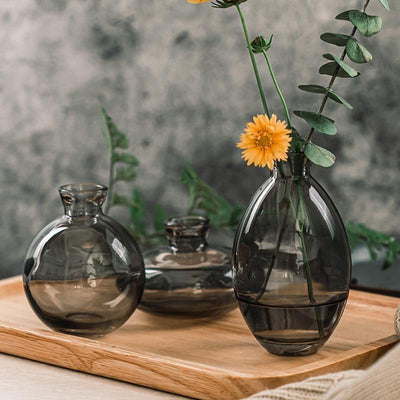 Cezanne Glass Vase Trio - Lily & Eden