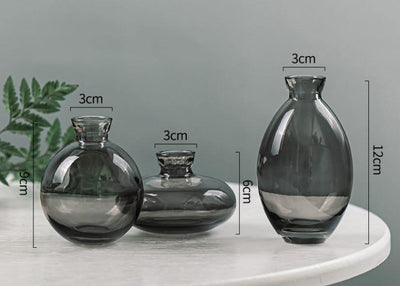 Cezanne Glass Vase Trio - Lily & Eden