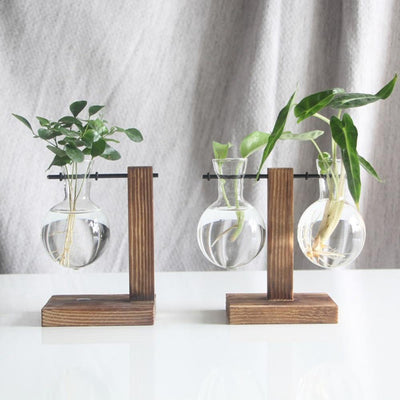 Glass Plant Vase with Vertical Wood Stand - Lily & Eden