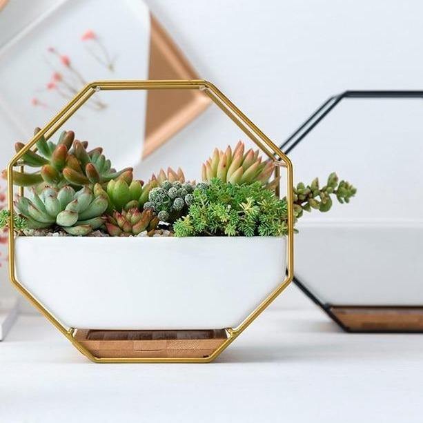 Ceramic Geometric Wall Planter with Iron Octagonal Frame - Lily & Eden