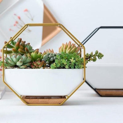 Ceramic Geometric Wall Planter with Iron Octagonal Frame - Lily & Eden