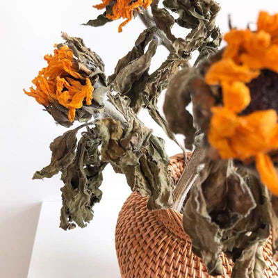 Handcrafted Rattan Vase - Lily & Eden