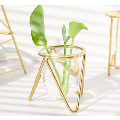 Glass Plant Vase with Modern Iron Stand - Lily & Eden