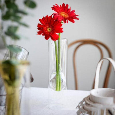 Glass Bubble Vases - Lily & Eden
