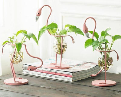 Tropical Flamingo Growth Vessel - Lily & Eden