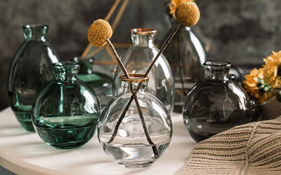 Cezanne Glass Vase Trio - Lily & Eden