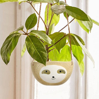 Sloth Ceramic Hanging Succulent Planter Tan / Dish | Lily & Eden