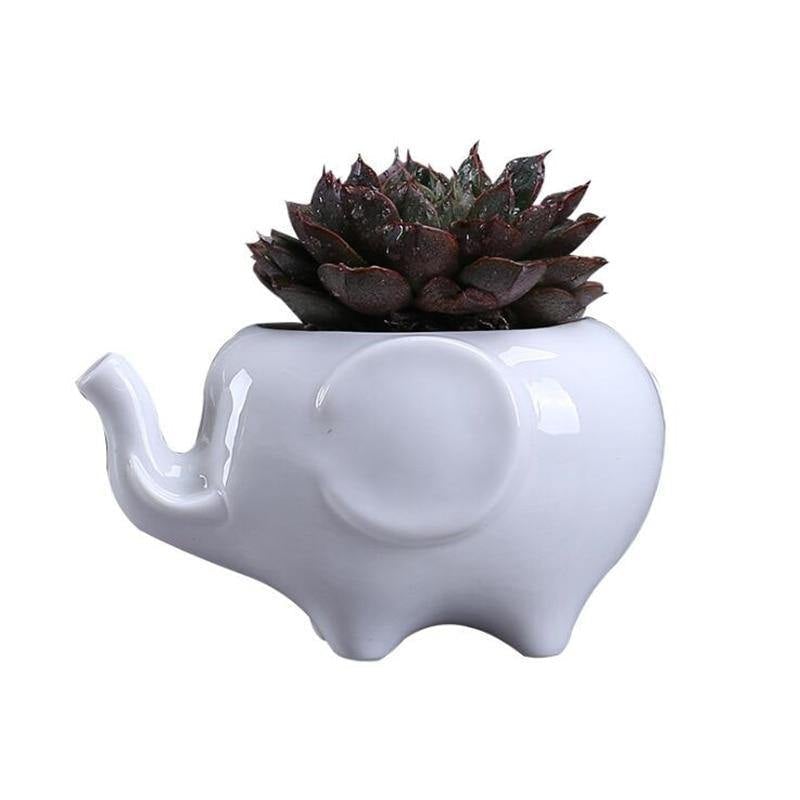 elephant succulent planter Ceramic Elephant Plant Holder Small