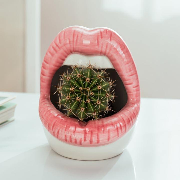 mouth plant pot Smooch Lips Ceramic Planter – Lily & Eden