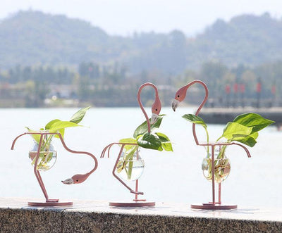 Tropical Flamingo Growth Vessel - Lily & Eden