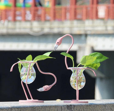 Tropical Flamingo Growth Vessel - Lily & Eden