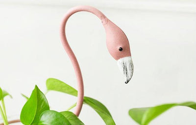 Tropical Flamingo Growth Vessel - Lily & Eden