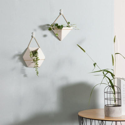 Hanging Geometric Terrarium - Lily & Eden