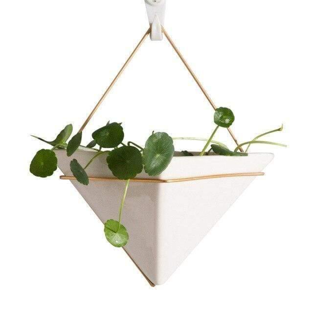 Hanging Geometric Terrarium - Lily & Eden