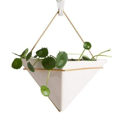 Hanging Geometric Terrarium - Lily & Eden