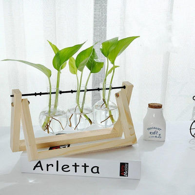 Glass Propagation Vase with A-Frame Wood Stand - Lily & Eden