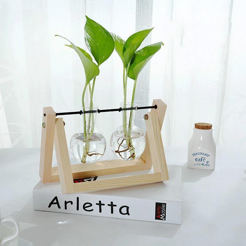 Glass Propagation Vase with A-Frame Wood Stand - Lily & Eden