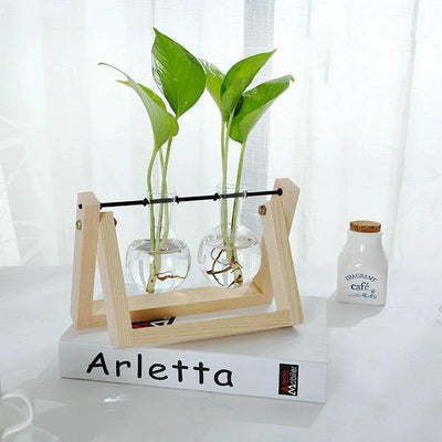 Glass Propagation Vase with A-Frame Wood Stand - Lily & Eden
