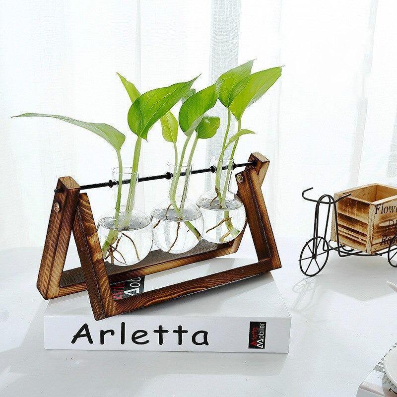 Glass Propagation Vase with A-Frame Wood Stand - Lily & Eden