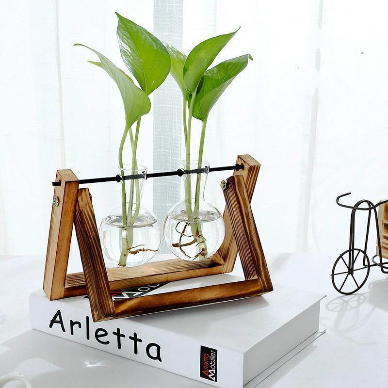 Glass Propagation Vase with A-Frame Wood Stand - Lily & Eden