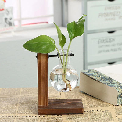 Glass Plant Vase with Vertical Wood Stand - Lily & Eden