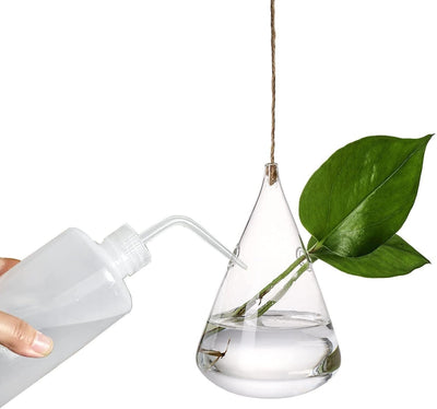 3-Piece Glass Hanging Terrarium Vases - Lily & Eden
